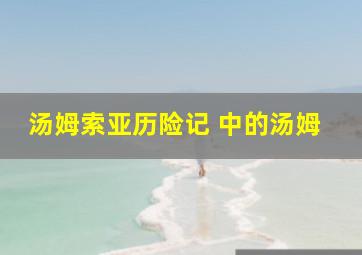 汤姆索亚历险记 中的汤姆